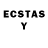 Ecstasy Philipp Plein Ann Lutz